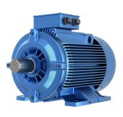 Электродвигатель трехфазный асинхронный 355MLA6 250/1000 1001