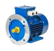Электродвигатель трехфазный асинхронный 355MLA6 250/1000 2001
